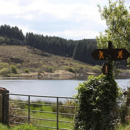 Casa de hóspedes Cawley's Tubbercurry